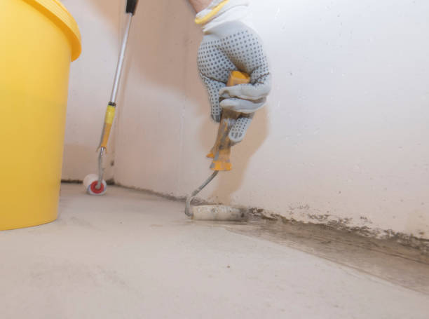 Best Pest Exclusion Services  in Algonac, MI